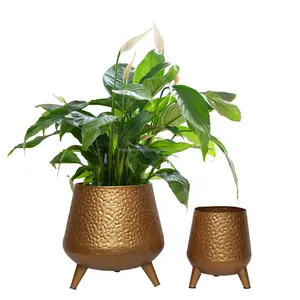 Pot tanaman penanam logam Hazel dengan tegakan (set 2) untuk dekorasi dalam dan luar ruangan dan dapat disesuaikan sepenuhnya.