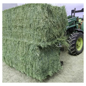 Heno de Alfalfa / Heno de Timothy / Heno de Alfalfa Rhode - Product Image 5