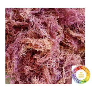 Algas marinas secas de algas marinas Cottonii naturales para la fabricación de ingredientes alimenticios y exportación a granel, origen Vietnam - Product Image 5