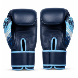 Professional Printed Pattern Adult Thai <b>Focus</b> <b>Pad</b> Customizable Logo Ahira Sports Brand PU+Sponge Material-Perfect Boxing Gloves - Product Image 5