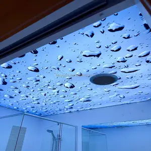 プラスチック生地室内装飾LEDライト装飾フィルム天井PVC3D効果カスタムUVプリントストレッチ天井フィルム