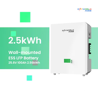 Sistem Penyimpanan Energi Rumah Terpasang di Dinding Rayworld 25.6V 100AH 2.56kWh dengan Inverter Surya dan LiFePO4