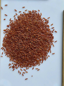 Arroz Rojo Saludable de Nueva Cosecha del Mekong del Sur, 5% de Granos Partidos, Estilo Basmati, Textura Suave, Calidad de Exportación, Bajo Precio, para Cocinar, 24 - Product Image 5