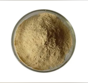 Polvo de Enzima Proteasa Hecho en India - Product Image 2