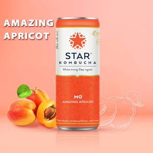 Bebida de Kombucha de Albaricoque en Venta, 250 ml, Marca Star Kombucha, Bebida de Té Fermentado, Precio Competitivo, Exportación al por Mayor - Product Image 3
