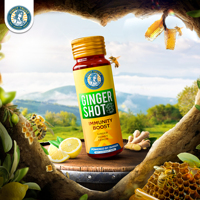 VINUT TRUST Shot de gingembre pour stimuler l'immunité, boisson de 30 ml au gingembre, miel et citron, goût épicé pour adultes