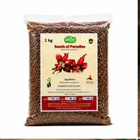 Graines du Paradis – Graines d'Aframomum Melegueta Naturelles Premium pour l'Alimentation et l'Utilisation en Herboristerie