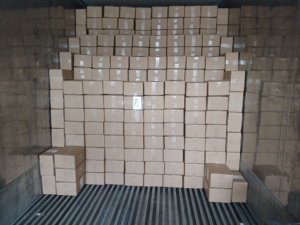 Fournisseur Vietnamien de Bananes Séchées Naturelles Douces et Sucrées VF, Bananes Séchées VF pour Snacks, Vente en Gros à Prix Compétitif - Product Image 2