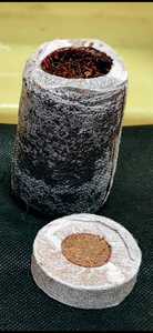 Prise de terre en mousse de sphagnum pour semis et agriculture – Écologique, favorise une bonne aération et une forte rétention d'eau - Product Image 6