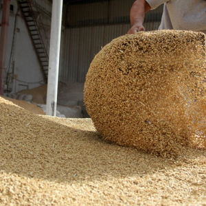 Harina de Soja con Alto Contenido Proteico para Alimentación Animal, Calidad Premium, Suministro a Granel, Lista para Exportación Global - Product Image 4