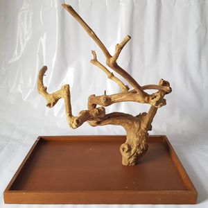 Perchoir pour oiseaux en bois naturel, base rectangulaire, durable, pour l'intérieur, toutes saisons - Product Image 5