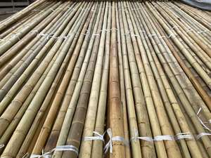 Pôles en bambou traités durables pour l'aménagement paysager, les clôtures, les applications agricoles, Vietnam, 30 mm, 40 mm, 50 mm, 100 mm, piquets en bambou, cannes - Product Image 2