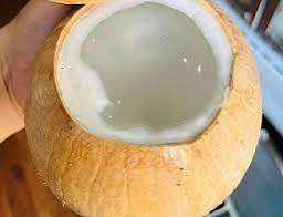 Fábrica de Agua de Coco Congelada de Vietnam, Suministro al por Mayor - Product Image 3
