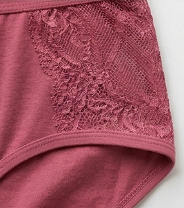 Women’s Brief <b>Underwear</b> – Everyday Wear, Clean Design, Regular Style - Product Image 4