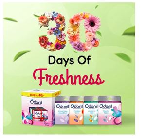 Désodorisants Odonil en blocs, pack mixte, 40 Rs de réduction, lot de 4 paquets de 48g - Product Image 2