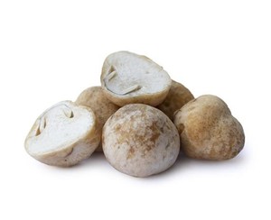 เห็ดหลอดกระป๋องเกรดพรีเมียม คุณภาพเยี่ยม รสชาติสดใหม่ อายุการเก็บรักษายาวนาน // คุณทอม - Product Image 1