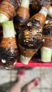 99 Gold Data Grade Taro Root Purple White Color Taro Ball Chopped Bulk Factory Price Frozen Fresh Taro Slices IQF Vegetables - Product Image 4