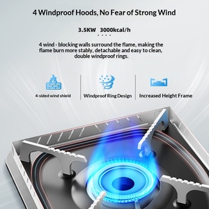 Estufa de Camping Portátil para Exteriores, Resistente al Viento, con Tanque de Gas, Estufa de Gas Comercial con Encendido Magnético - Product Image 3