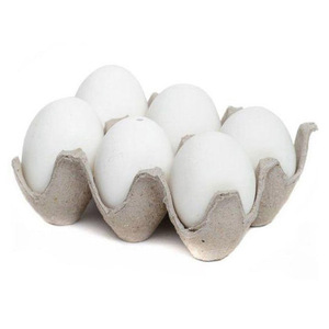 Huevos de Gallina Blancos de Primera Calidad, Proveedor al por Mayor, Huevos Frescos de Granja, Exportador Directo de Fábrica para Comercio Global - Product Image 3