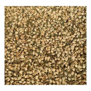 99 Gold Data Fresh Jasmine Flavored Loose Leaf <b>Tea</b> Organic & Health Bulk for <b>Tea</b> Blends Halal Certified Gift <b>Box</b> Packaging - Product Image 1