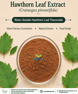HGO Suministro Directo de Fábrica de Extracto de Hoja de Espino Natural Puro (Crataegus pinnatifida) Flavonoides Soluble en Agua - Product Image 1