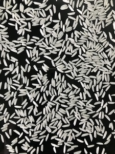 Vilaconic ข้าวขาวเมล็ดยาว ST25เวียดนามแบบพิเศษใหม่มีกลิ่นหอมแรงเนื้อแข็งสไตล์แห้ง ISO - Product Image 3