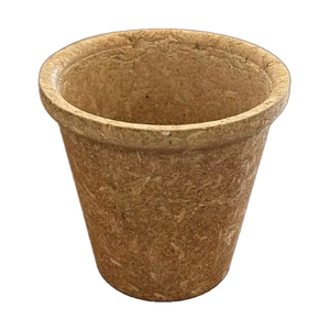 Vasos Desechables Compostables de 250 ml (8.5 oz), Ecológicos, Biodegradables, Libres de Plástico, para Catering - Product Image 1