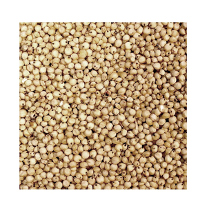 บริการ OEM คุณภาพพรีเมียม ขายส่งข้าวฟ่างเกรดอาหาร พร้อมส่ง คุณภาพสูงสุด จำหน่ายส่งออกจำนวนมาก - Product Image 1