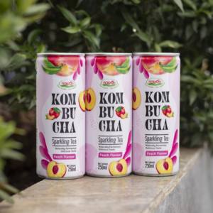 Bebida de Kombucha de Durazno de la Mejor Calidad, Té Gasificado Fermentado en Lata de 250 ml, Fabricante de Bebidas OEM/ODM de Alta Calidad, Muestra Gratuita - Product Image 4