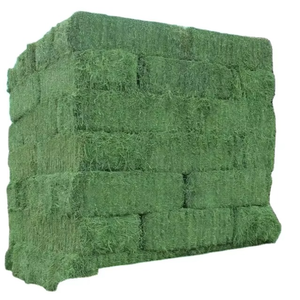 Foin de Rhodes séché biologique riche en fibres pour l'alimentation des bovins et des chevaux, en balles compressées en vrac, préparé pour l'importation en gros - Product Image 1