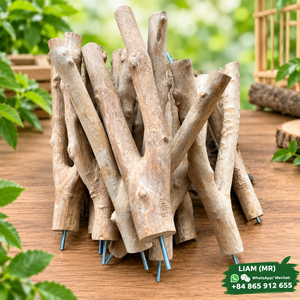 Perchoirs pour oiseaux en bois de café naturel – Branches simples et doubles, Fournitures écologiques pour animaux de compagnie - Liam - Product Image 3