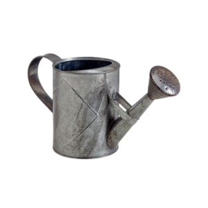 Arrosoir portable en zinc galvanisé avec motif floral, outil de jardin durable pour l'entretien des plantes d'intérieur et d'extérieur, arrosoir fait main - Product Image 1