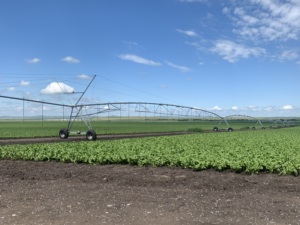 Système d'irrigation agricole par pivot central, système d'irrigation par aspersion, prix d'usine - Product Image 2
