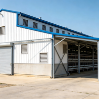 Poulailler en structure acier préfabriquée, moderne et commercial, pour l'élevage de poulets de chair, avec une bonne ventilation et une isolation thermique