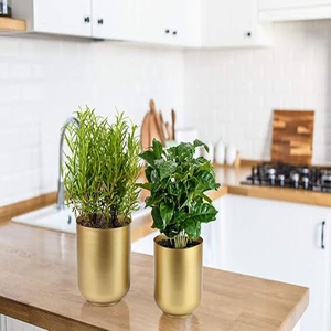<b>Large</b> Gold Planters Metal Aloe Brass-Tone Plant <b>Pots</b> Indoor Decorative Flower <b>Pots</b> with Drain Holes - Product Image 3
