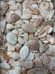 Natural <b>Pink</b> Scolecite Gemstone Cabochon Used For <b>Healing</b> Jewelry and Astrological Purposes In Affordable Price. - Product Image 3