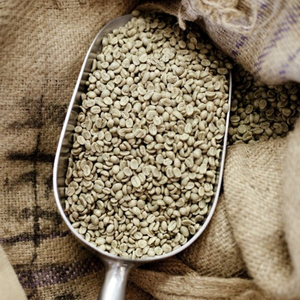 Grains de café vert Robusta de qualité supérieure, 100% pur, grade 1, procédé de nettoyage et de séchage, du Vietnam, au meilleur prix de gros - Product Image 1