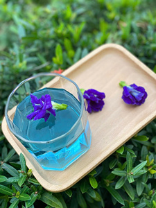 คุณภาพสูง |   ดอกอัญชันแห้ง ออร์แกนิค ชาสีน้ำเงิน สำหรับเครื่องดื่ม สีผสมอาหาร วัตถุดิบทำขนม ขายส่ง เวียดนาม - Product Image 5