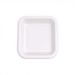 Axiom Greenex 7 Inch Square Bagasse Takeaway <b>Plate</b> Compostable Biodegradable Sugarcane <b>Disposable</b> - Product Image 4