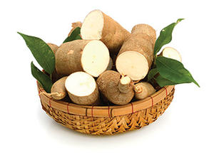 Almidón de Tapioca Vietnamita de Primera Calidad, Puro, Versátil, Saludable e Ideal para el Procesamiento y Exportación de Alimentos. - Product Image 2