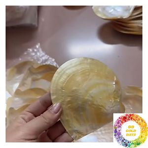 Rodajas de Concha de Nácar Multicolor: Blanco, Crema, Gris Plateado, Negro, Marrón, Beige, Dorado, Iridiscente, Piezas de Concha Natural - Product Image 1
