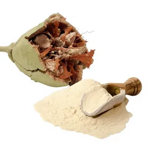 Poudre de fruit de Baobab 100% pure de qualité alimentaire, qualité supérieure, fournisseur en gros d'Inde, idéale pour les smoothies - Product Image 2