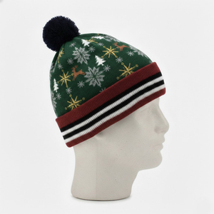 Bonnet d'hiver chaud unisexe en tricot avec logo personnalisé, couleur unie, broderie 3D, bonnet d'hiver pour homme, jacquard 2026 - Product Image 5