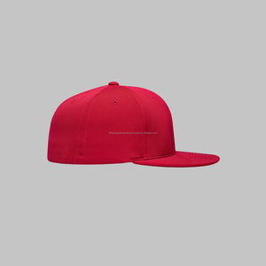 Cadre de logo de broderie 3D personnalisé de haute qualité 6 panneaux incurvé Bill Snapback Cap Sportif Style américain Tissu Matériel à carreaux - Product Image 4