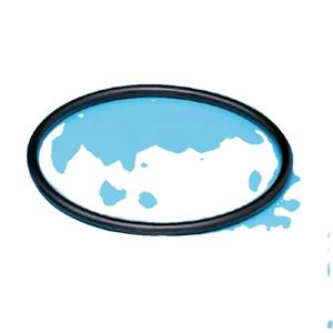 ปะเก็นคาเรสซ์ปะเก็นซีลแบบญี่ปุ่นทนความร้อนได้ดีเยี่ยมหน่วย lpcvd อัดต่ำเชิงกล - Product Image 1