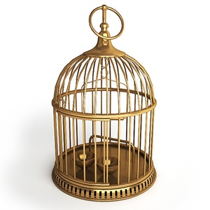 Wholesale Metal <b>Bird</b> Cage Supplier Offering Durable Pet <b>Bird</b> Housing Solutions With Custom Logo Manufacturing - Product Image 5