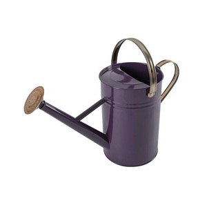 <b>Purple</b> Metal Watering Can Leak Proof Decorative Watering Can Gardening Outdoor Indoor Plant Care Durable Painted Finish - Product Image 1