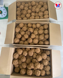 BEST SELLING Eco Coir Chew Ball 100% Natural Coconut Fiber Pet Toy Sustainable Husk Sphere For Puppies Training Molar Grinding - Product Image 5