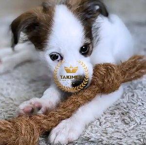 Fabricant de gros os à mâcher en corde de fibre de coco pour chiens avec des jouets à mâcher pour la stimulation mentale. - Product Image 2