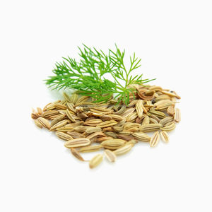 Foeniculum Vulgare Semilla de Hinojo dulce Saunf Mitthi Seed Ani Hinojo Saunf Anís Comestibles Hierbas crudas Producto a base de hierbas - Product Image 1